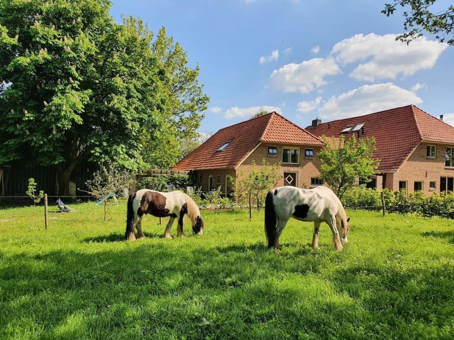 Leuk boerderijtje op prachtige plek, nabij natuurgebied Ruurlo Buitenkant foto