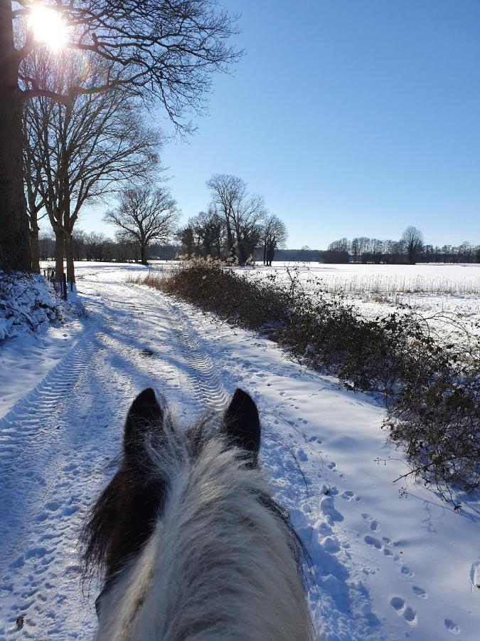 Leuk boerderijtje op prachtige plek, nabij natuurgebied Ruurlo Buitenkant foto