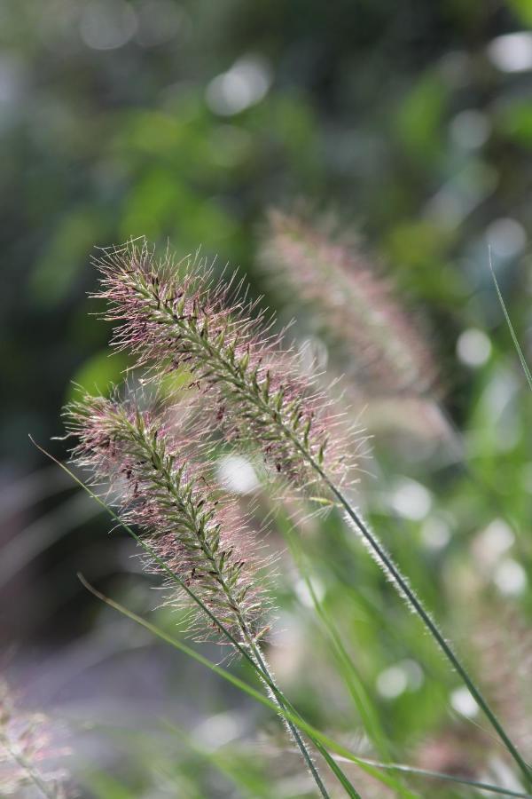 Leuk boerderijtje op prachtige plek, nabij natuurgebied Ruurlo Buitenkant foto