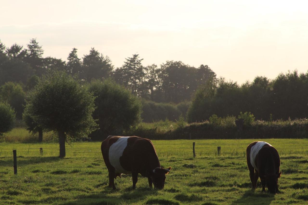 Leuk boerderijtje op prachtige plek, nabij natuurgebied Ruurlo Buitenkant foto